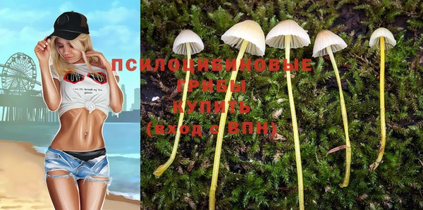 шишки Всеволожск