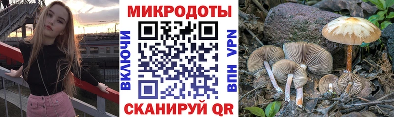 магазин продажи   Никольск  Псилоцибиновые грибы MAGIC MUSHROOMS 